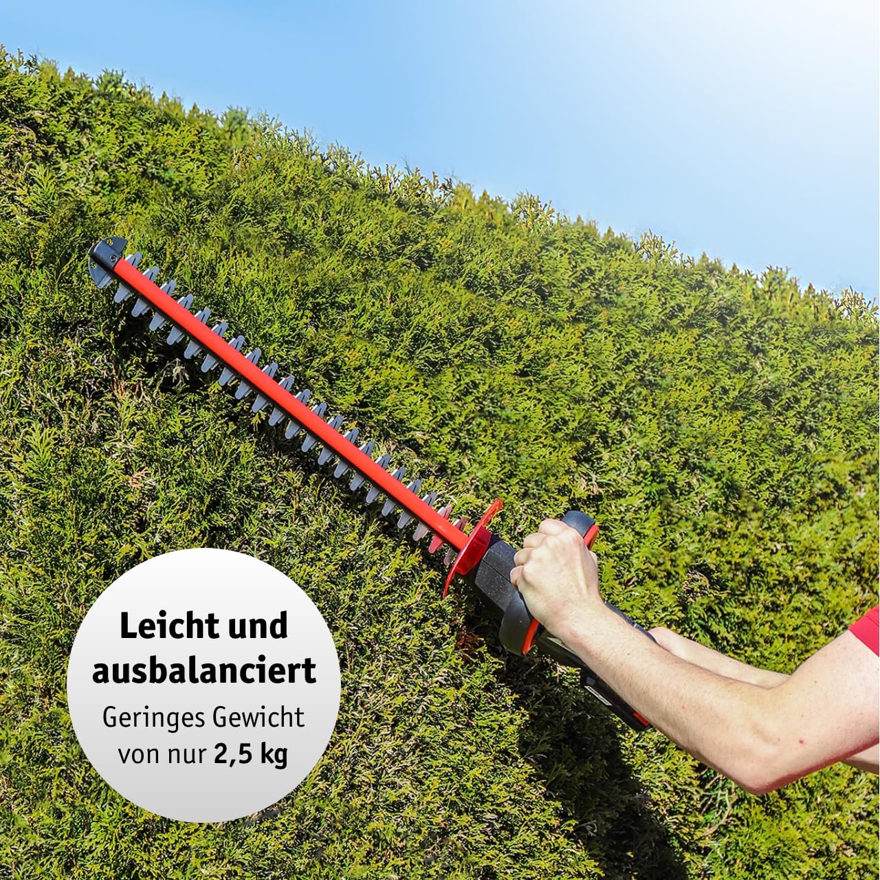 WALTER Akku Garten-Set: 40V Rasenmäher, 20V Rasentrimmer & Heckenschere – Kabellose Freiheit, energieeffizient, ideal für kleine bis mittelgroße Gärten, inkl. 2 Li-Ionen Akkus & Schnellladegerät